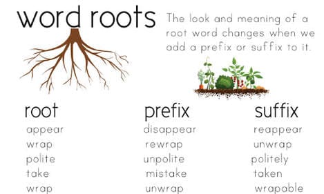 English Root Word