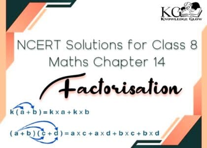 Class 8 Maths Chapter 14 Factorisation