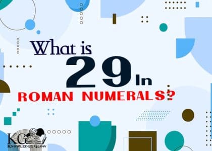 29 in Roman Numerals