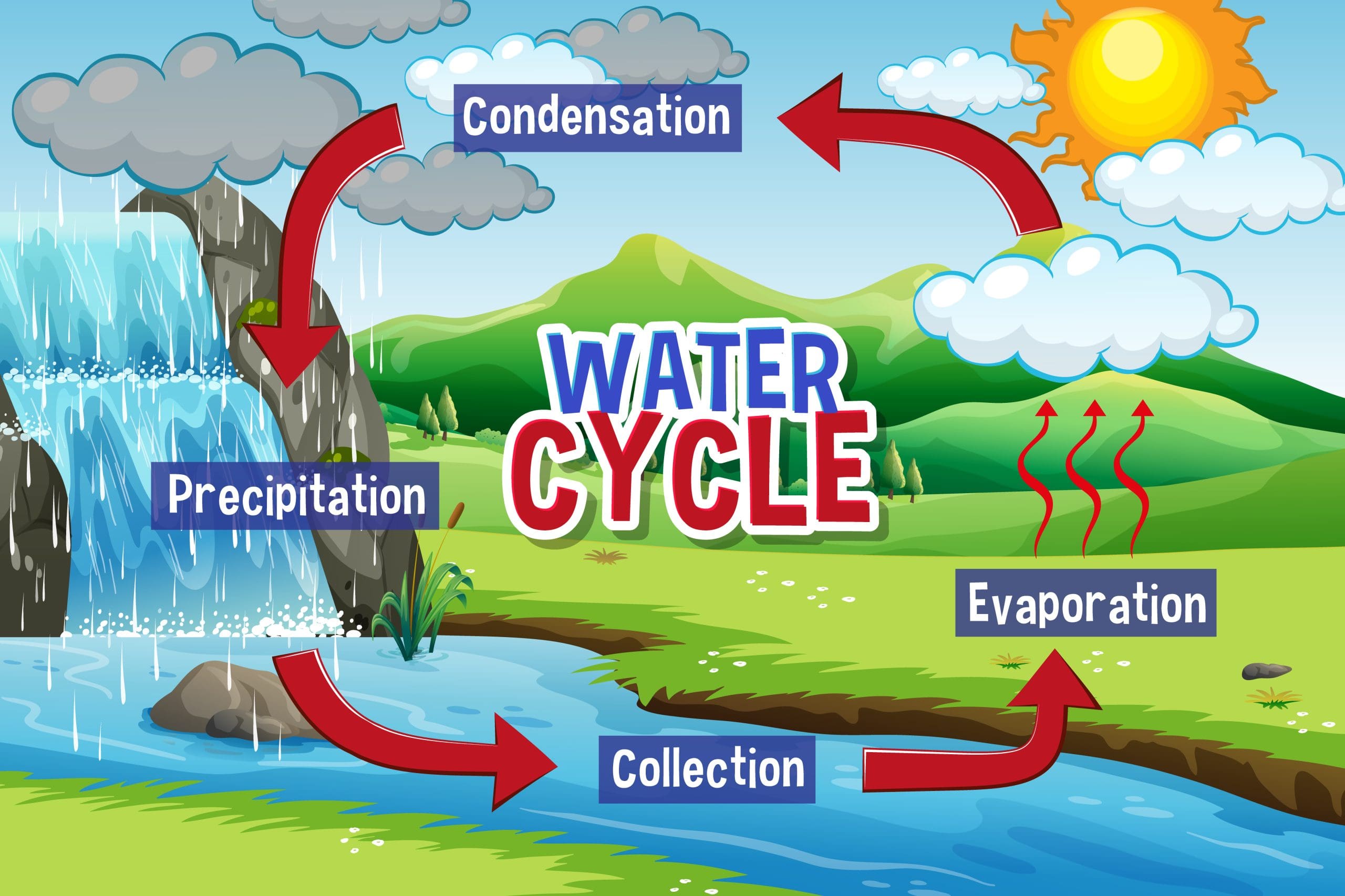 Water Cycle Collection Definition At Colleen Ewing Blog