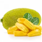 Jackfruit Fruit