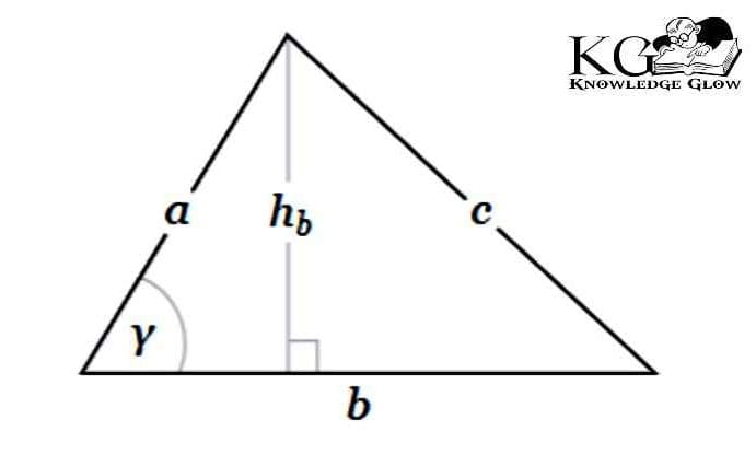Area of Triangle Using Base and Height