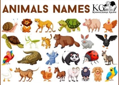 Animals Name In English