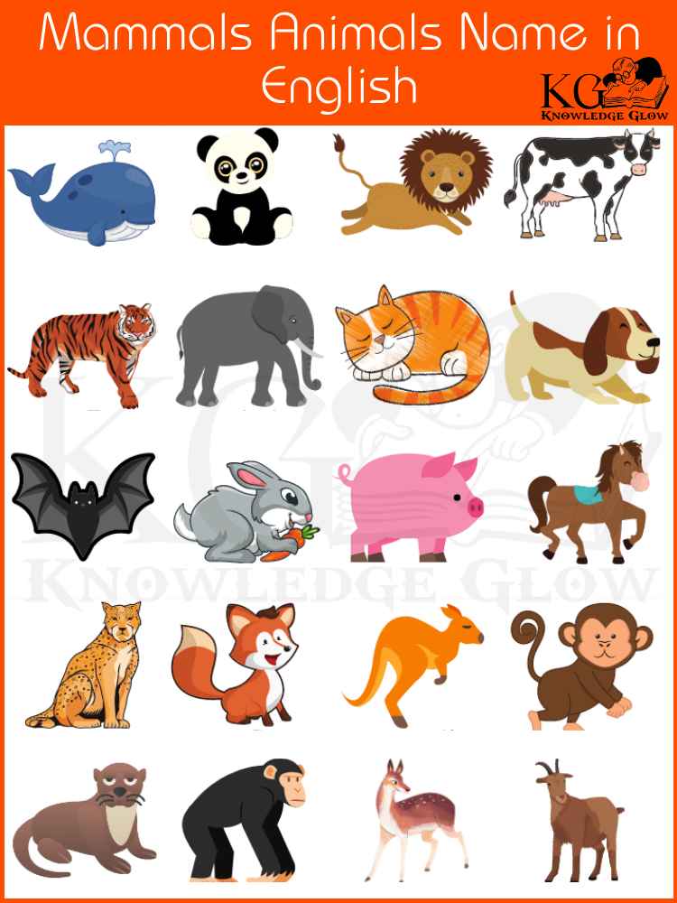 Mammals Animals Name in English