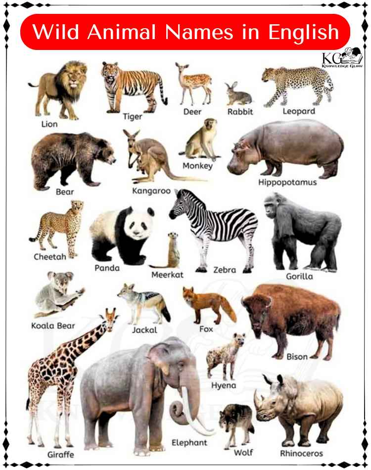 Wild Animal Names Explore The List Of 100 Wild Animals In English